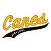 Evoshield Canes Arizona Sticker / Car Decal -Baseball Apparel Shop evoshield evoshield canes arizona sticker car deca