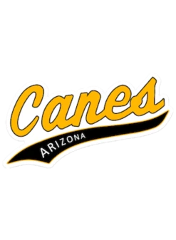 Evoshield Canes Arizona Sticker / Car Decal