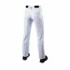 Evoshield Mens Salute White Pant W/Black Pinstripe