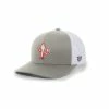 Gonzo's Gear By Luis Gonzalez Gonzo's Gear Cactus Baseball Hat Grey -Baseball Apparel Shop gonzos gear by luis gonzalez gonzos gear cactus ba