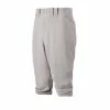 Mizuno Premier Short Pant -Baseball Apparel Shop mizuno mizuno premier short pant